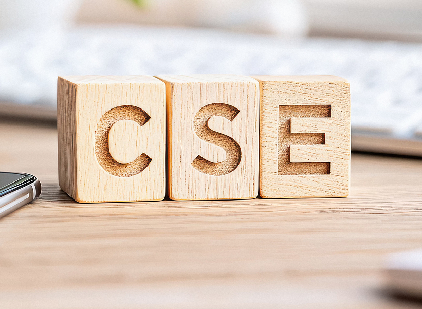Cubes bois CSE